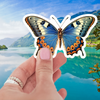 Big Beautiful Butterfly Sticker featuring a vibrant blue and orange design in waterproof matte vinyl, highlighting its beauty and durability.