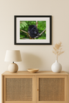 Framed picture of a black bear on a wall above a wooden cabinet with decorative items.