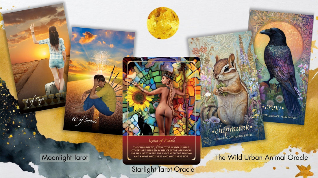 an image showing all three of Holly Smee's card decks: The Starlight Tarot Oracle, Moonlight Tarot, and the Wild Urban Animal Oracle