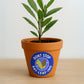 close up of bay leaf sticker
