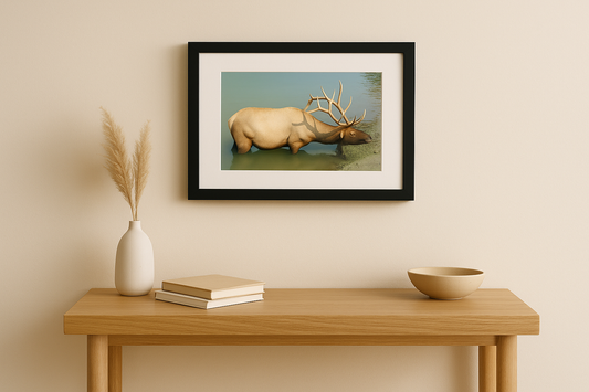 Elk Nap in Jasper, B.C. Framed Art Print featuring fine art nature photography of an elk resting in a serene mountain stream, perfect for enhancing your space with tranquil wildlife beauty.