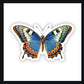 Big Beautiful Butterfly Sticker applied on a laptop, demonstrating its stylish and decorative appeal, ideal for expressing creativity.