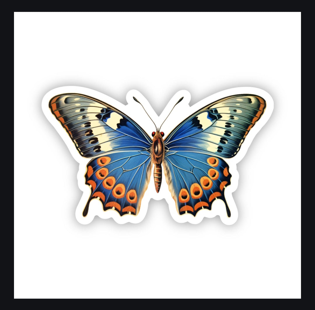 Big Beautiful Butterfly Sticker applied on a laptop, demonstrating its stylish and decorative appeal, ideal for expressing creativity.