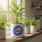 Turmeric Pot 2